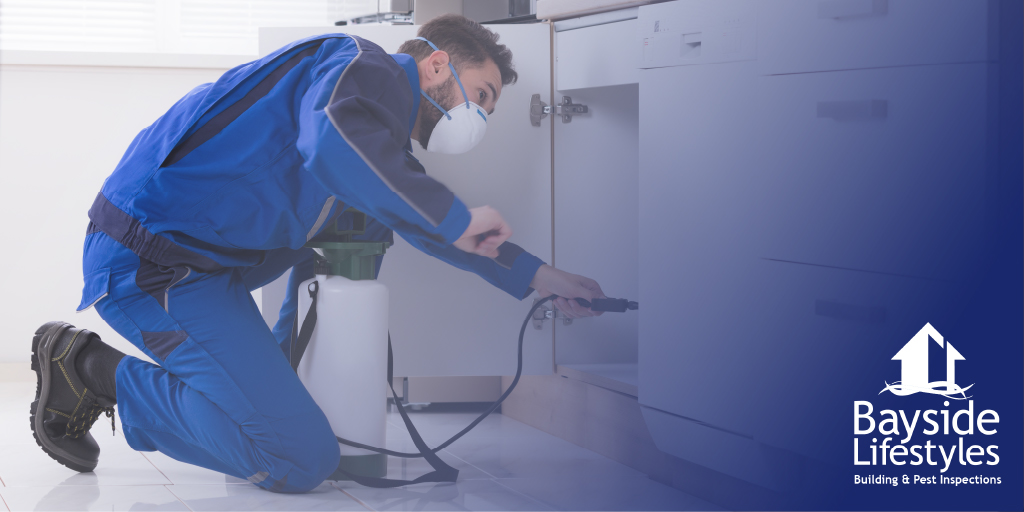 Pest Control Services - Bayside Lifestyles