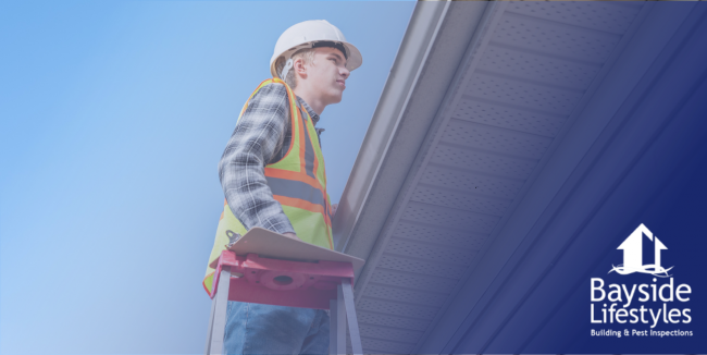 pest and house inspection