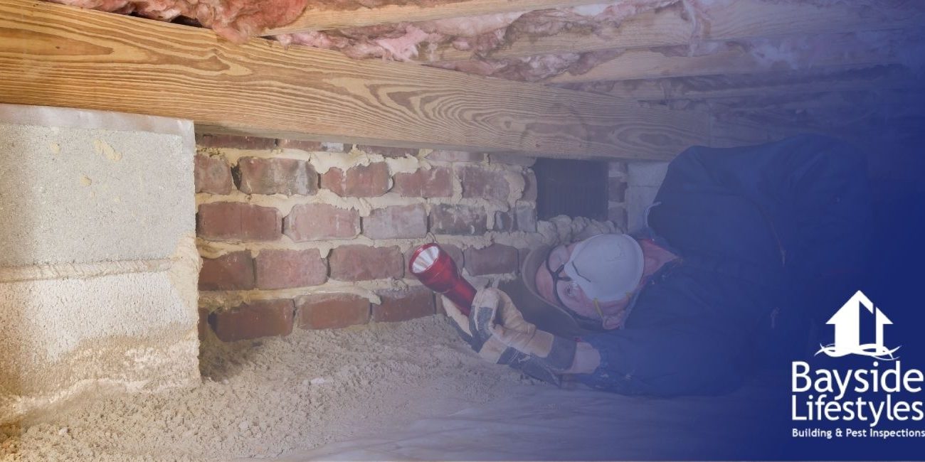 termites Termite Inspections - Bayside Lifestyles Building & Pest Inspections