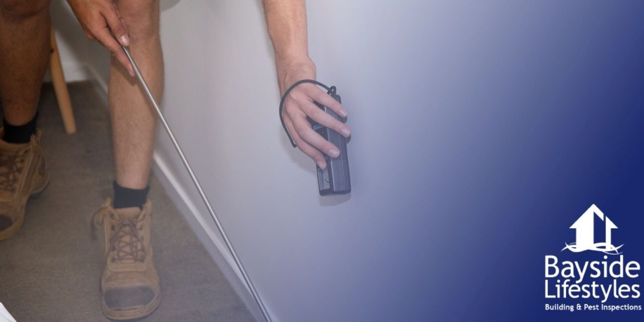 Bayside – blog cover image – pest control services Pest Inspections and Control - Bayside Lifestyles - Gold Coast, Brisbane