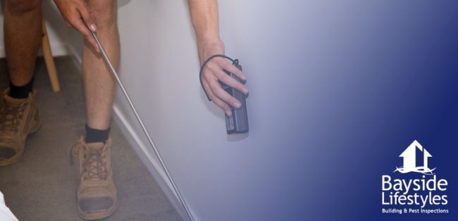 Bayside – blog cover image – pest control services Pest Inspections and Control - Bayside Lifestyles - Gold Coast, Brisbane