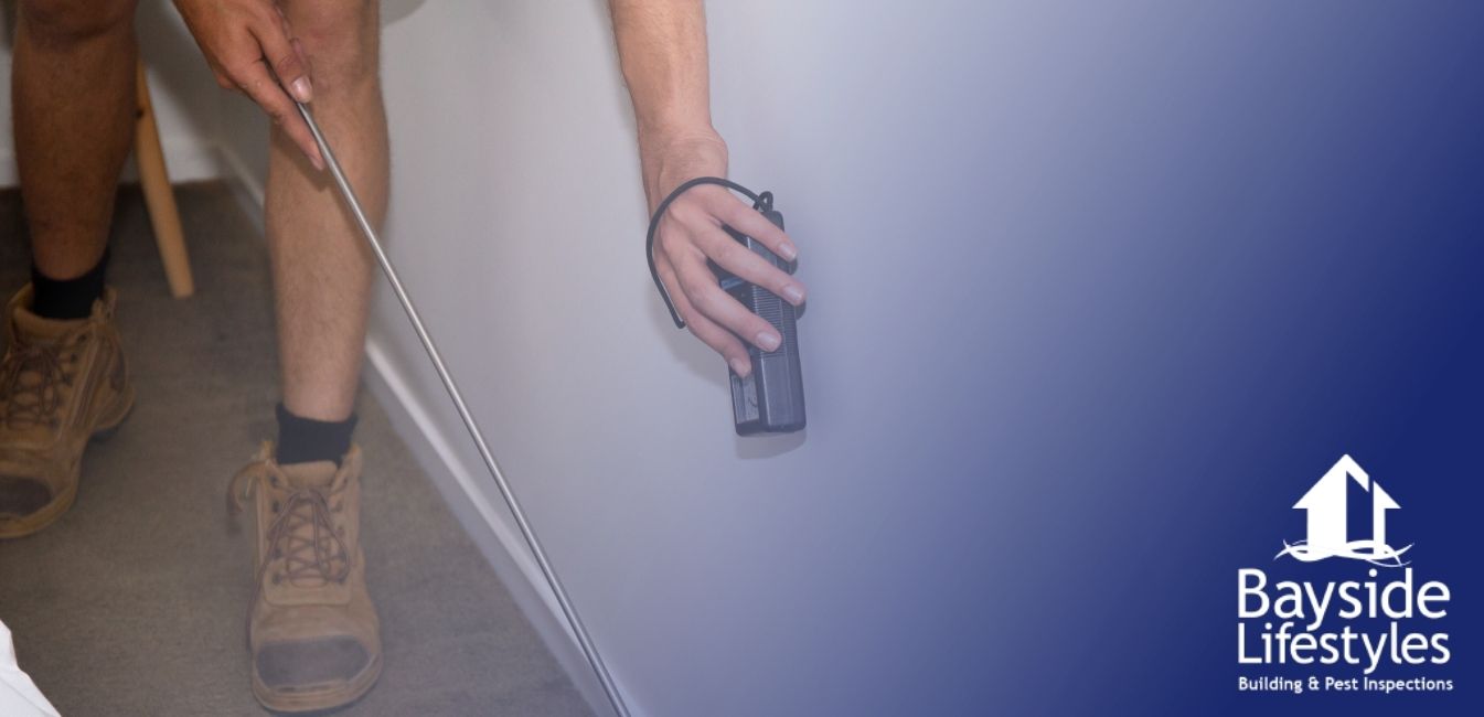 Bayside – blog cover image – pest control services Pest Inspections and Control - Bayside Lifestyles - Gold Coast, Brisbane