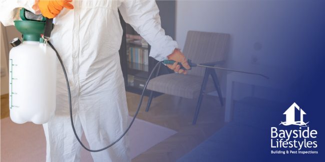 pest-control-service Pest Control Services - Bayside Lifestyles - Gold Coast, Brisbane